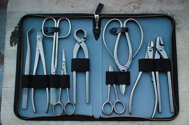 木质表面上的盆景工具集合