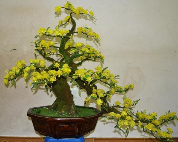 春节期间灿烂盛开的金梅